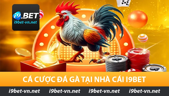 Cá cược đá gà tại nhà cái I9BET